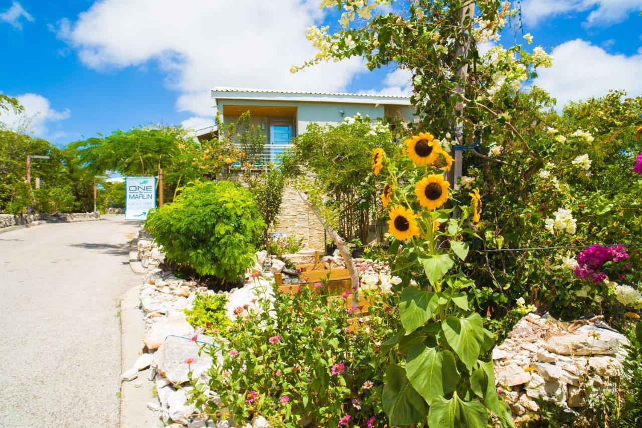 One On Marlin Resort (Adults Only) Turtle Cove Dış mekan fotoğraf